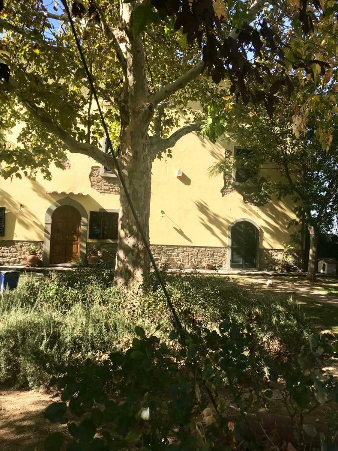Giardino Di Sara Lägenhet Cortona Exteriör bild