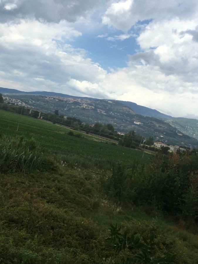 Giardino Di Sara Lägenhet Cortona Exteriör bild