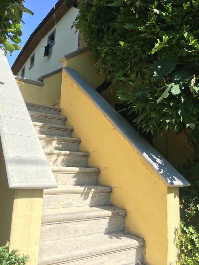 Giardino Di Sara Lägenhet Cortona Exteriör bild